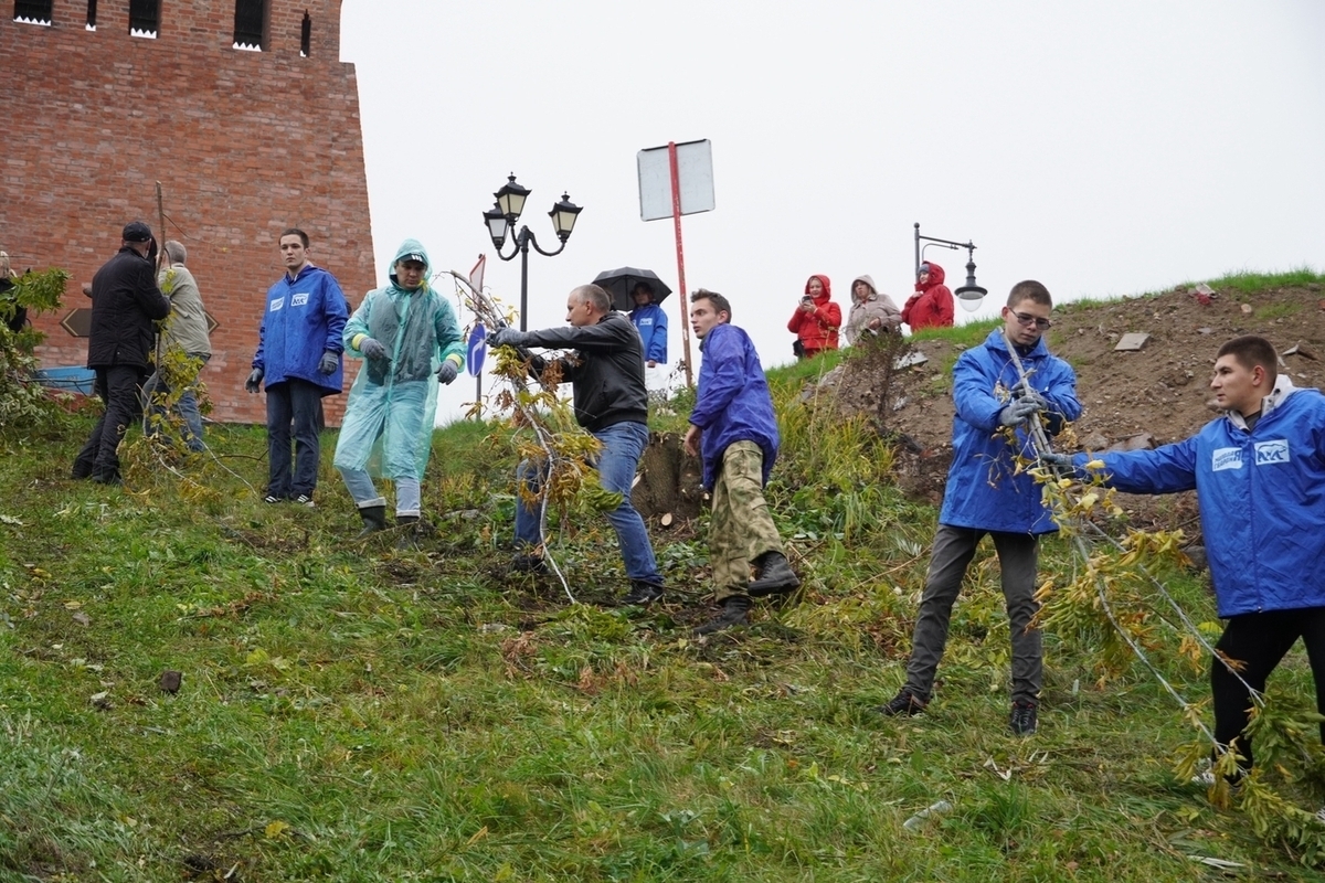 «Единая Россия» провела масштабный субботник на берегу Днепра в Смоленске