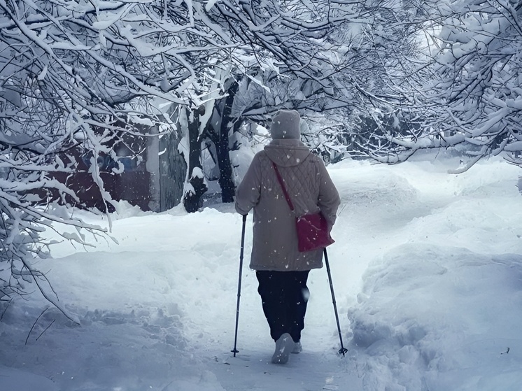 Почти 40 сантиметров снега зафиксировано в горах Сочи