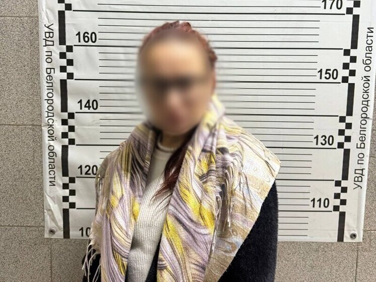 Жительницу Новосибирска поймали в Белгороде на оказании платных интимных услуг
