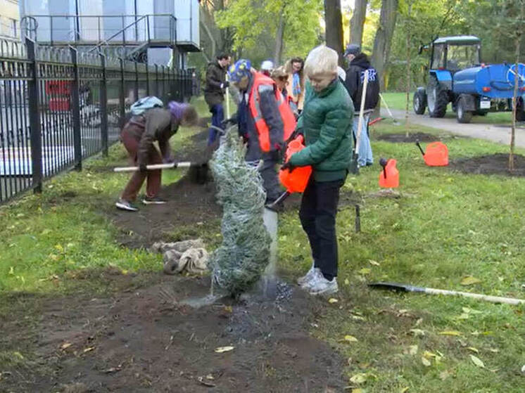 Петербуржцы выстроились в очередь за лунками в Сампсониевском саду