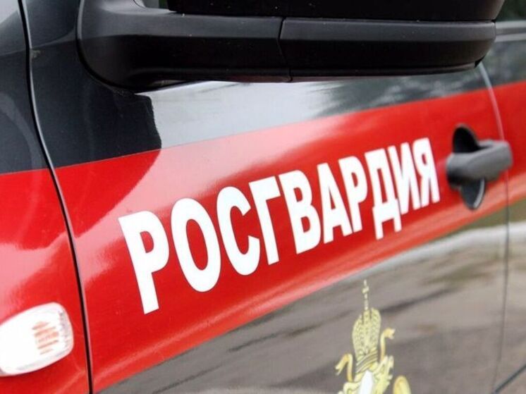 В Мурманске Росгвардия задержала буйного посетителя бара