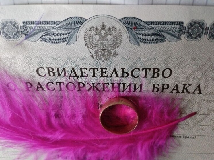 Разводящимся петербуржцам хотят ввести обязательную медиацию
