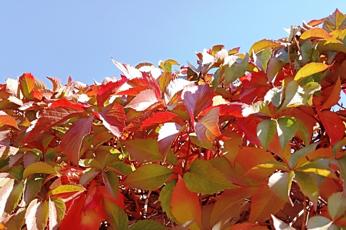 Сила магнитной бури 13 октября составит 4 балла: неблагоприятная пора для новых начинаний