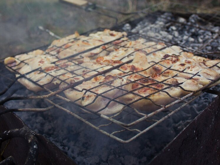 Петербуржцам посоветовали «ужарить» коварную сальмонеллу в мясе