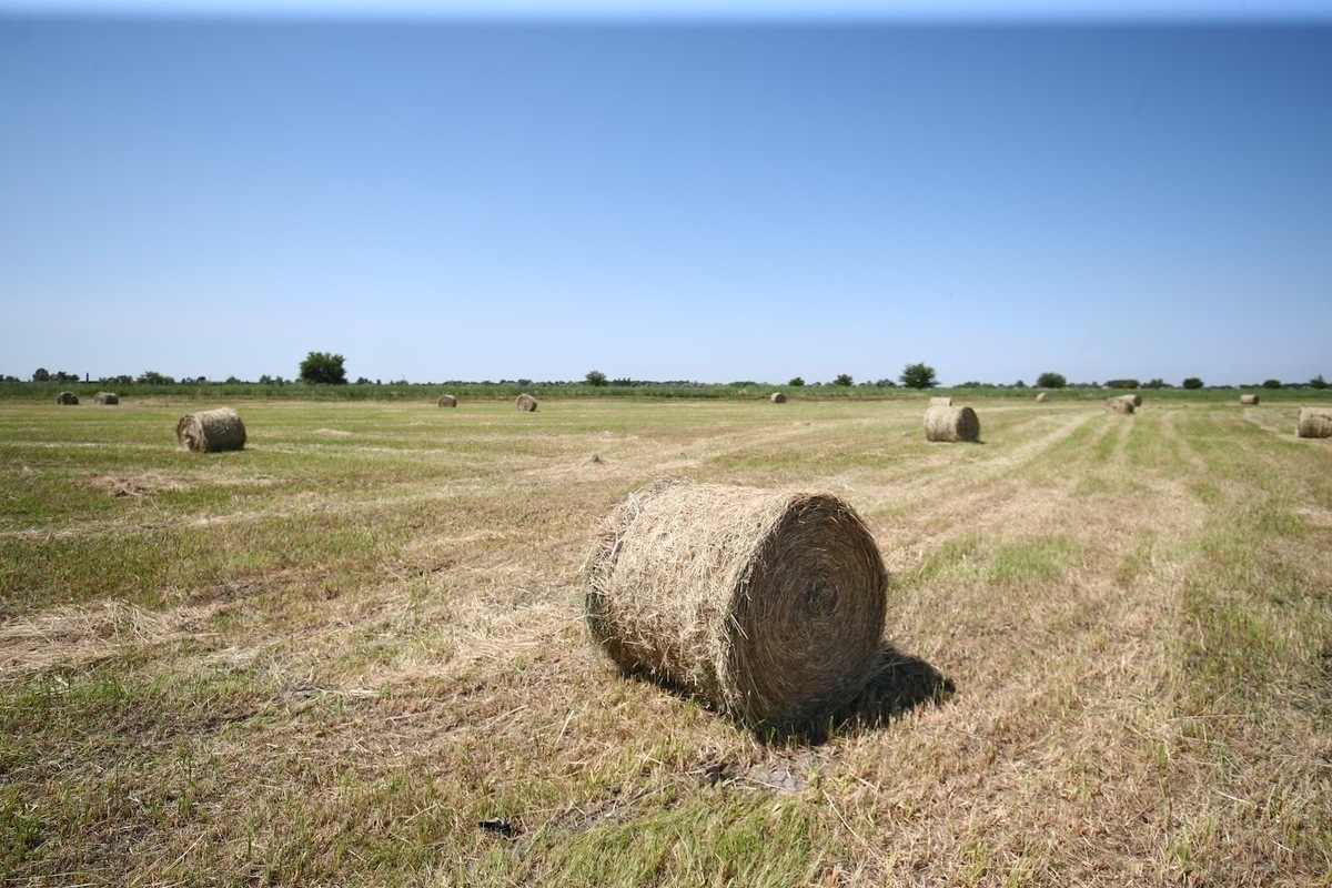 Народные приметы: чего нельзя делать 13 октября, в день Михаила Соломенного