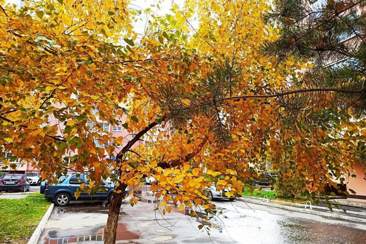 Neve bagnata a Kostroma: come le condizioni meteorologiche influenzano la vita quotidiana nella regione