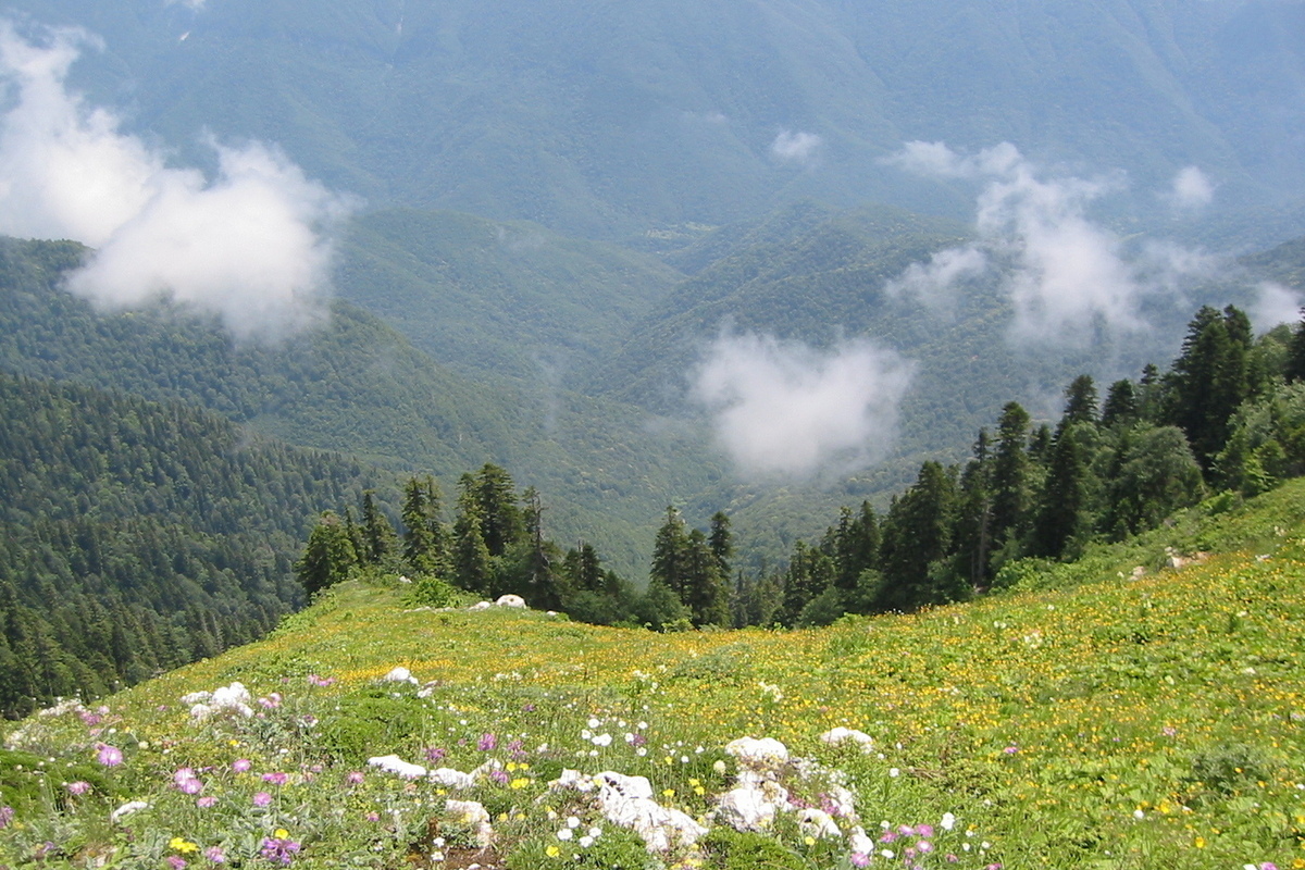 La Banca Centrale Annulla il Voto per il Design della Banconota da 500 Rubli: Reazione del Ministro Dudaev e Possibili Implicazioni per la Politica Monetaria e l'Identità Nazionale