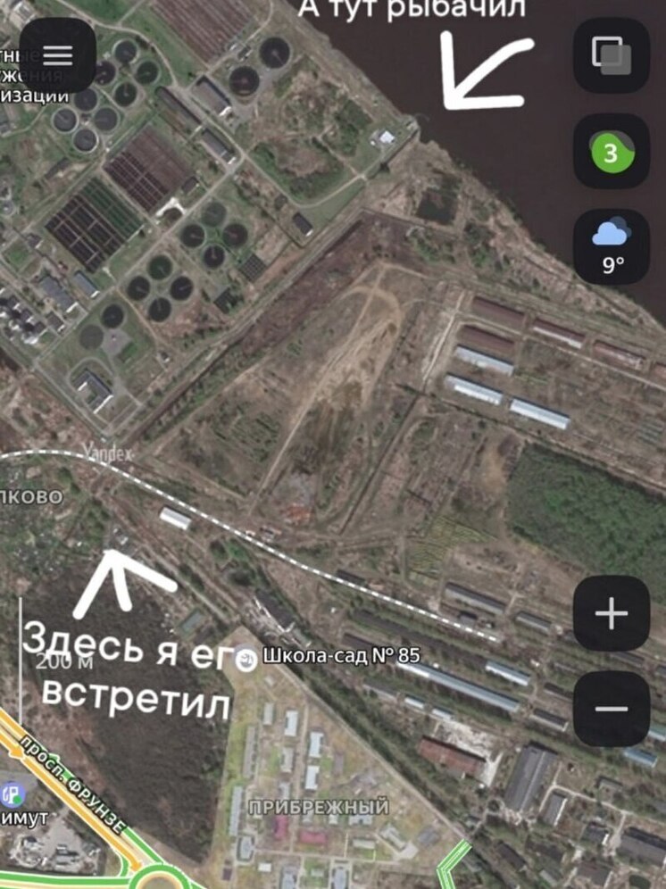 В Ярославле на окраине молодой медведь напугал рыбака