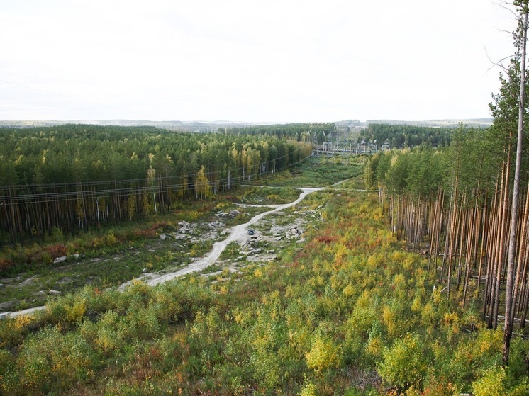 Свердловскую область ждет умеренно теплая неделя