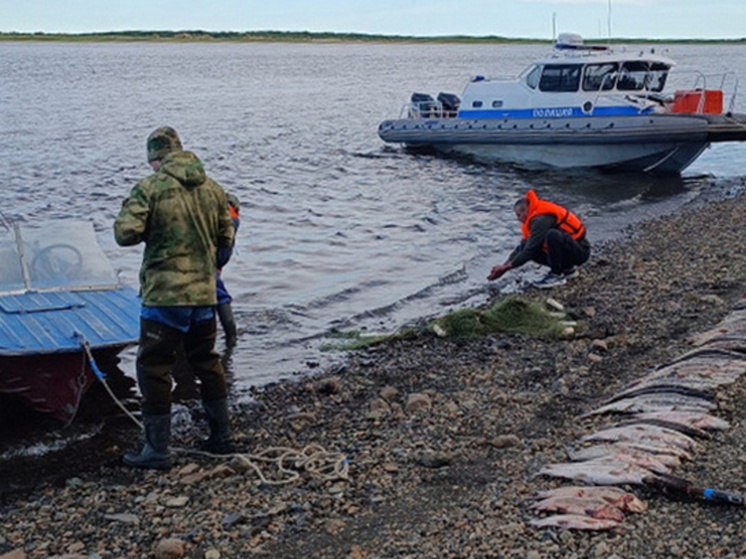 Анадырский суд рассмотрит дело о браконьерстве