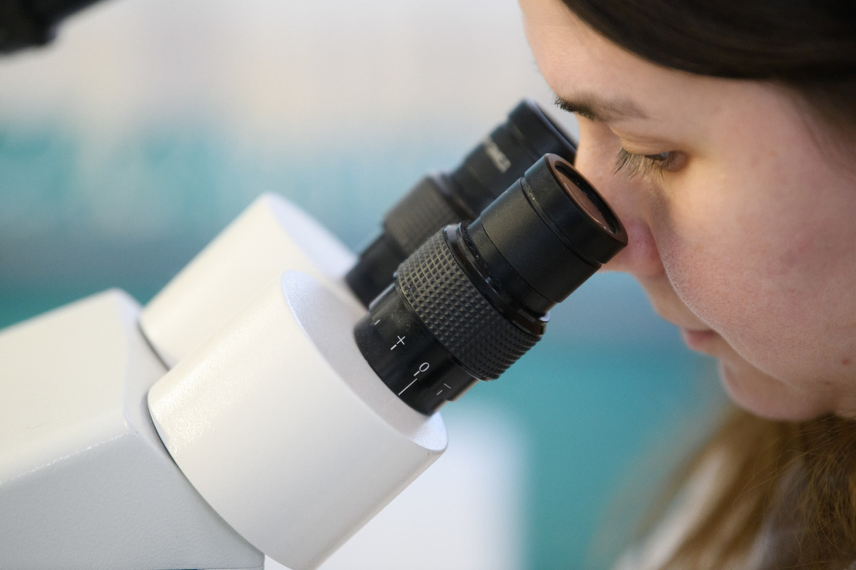 В России стали чаще болеть ветряной оспой