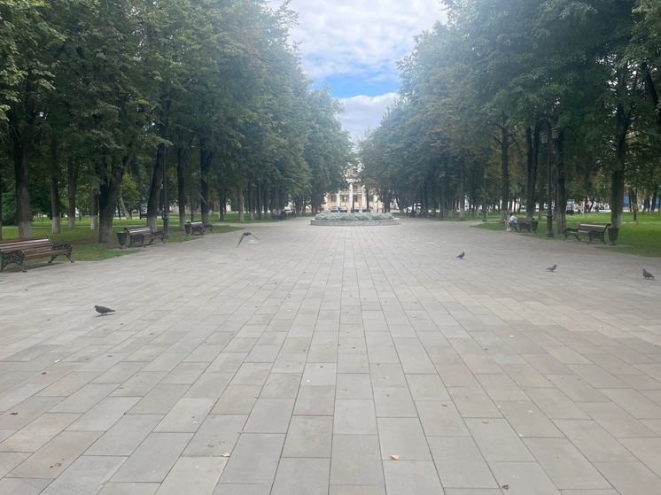  Орловчане жалуются на кромешную тьму в сквере Гуртьева