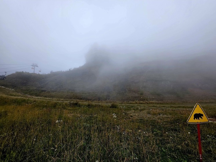 Туристы с детьми оказались в ловушке на горном маршруте в Сочи