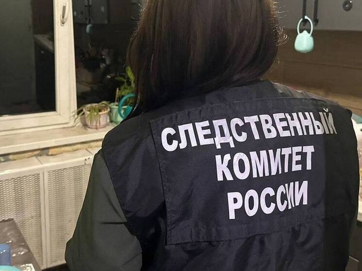 Воронежский СК напомнил о работающем «Телефоне доверия»