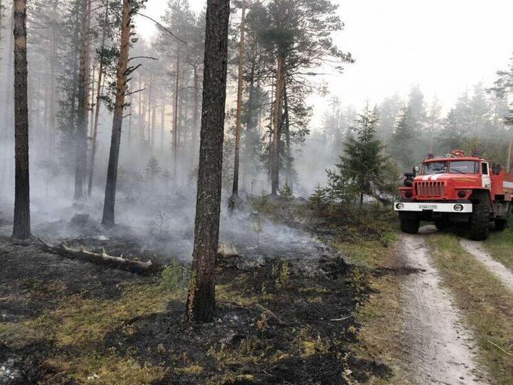 В Ивановской области официально завершился пожароопасный сезон