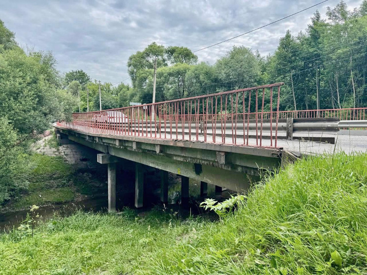 Капитальный ремонт моста через Речму в Бутурлине завершится к весне 2027 года
