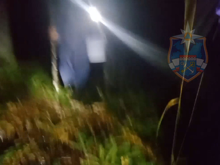 Двух грибниц искали спасатели в лесу в Гатчинском округе