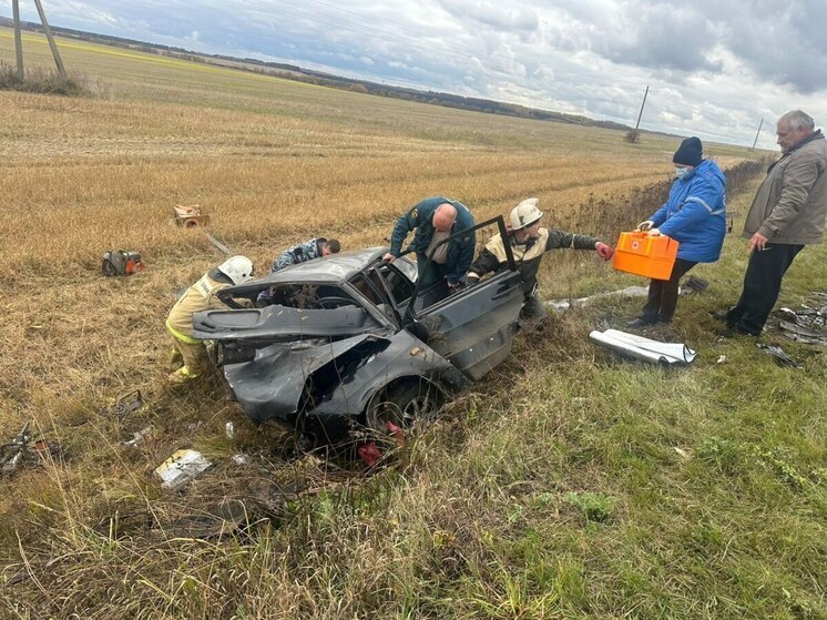 В полиции рассказали подробности смертельного ДТП в Сапожковском районе