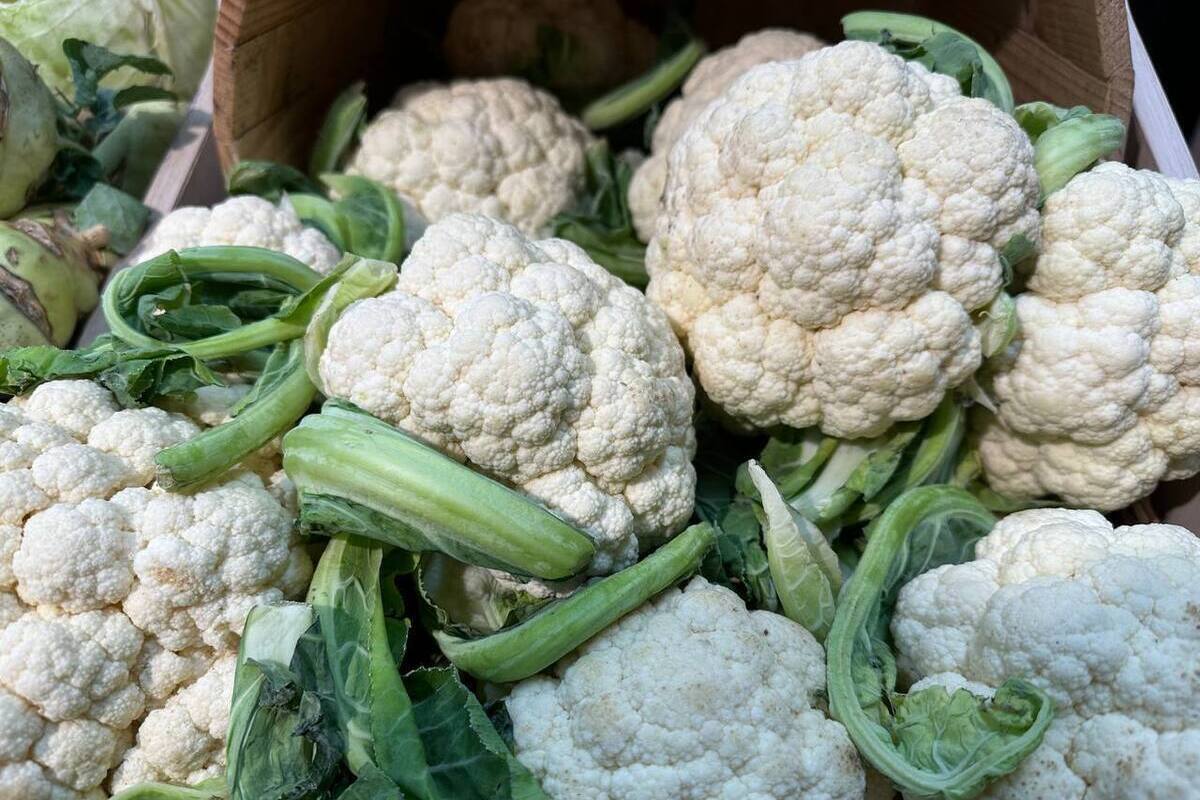 Cancro al Seno: Come un'Alimentazione Salutare e uno Stile di Vita Sano Possono Ridurre il Rischio di Questa Malattia