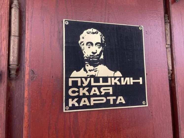 Петербуржцев предупредили о новой уловке с «Пушкинской картой»