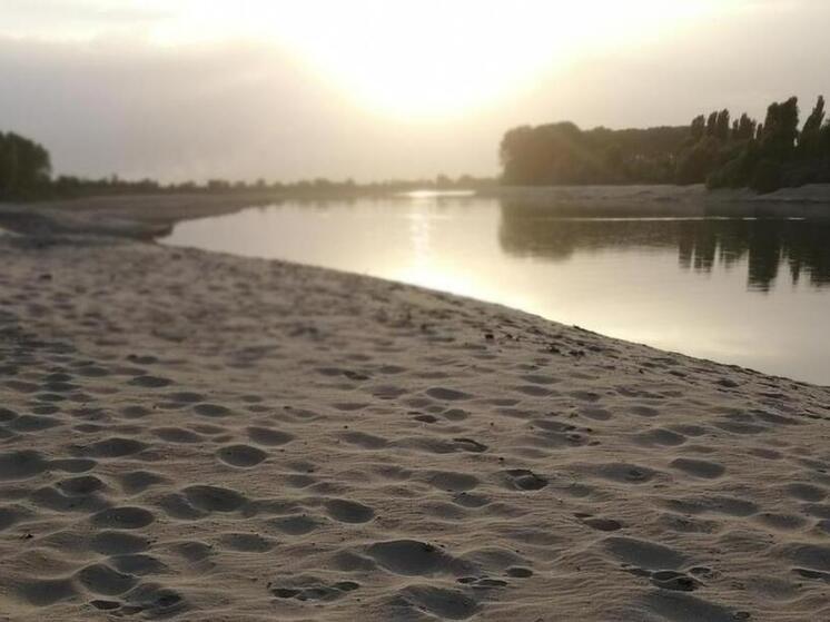 На Кубани очистили более 180 километров русел рек от карча