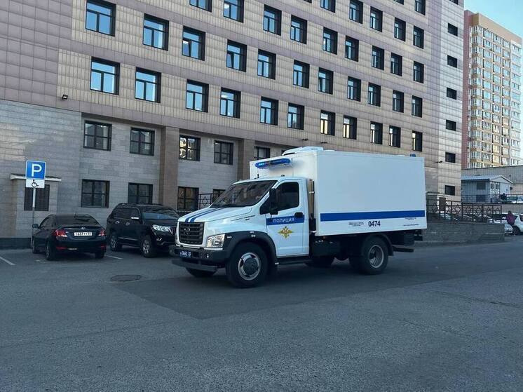 Суд отправил в СИЗО девушку, зарезавшую новорожденного ребенка в Барнауле