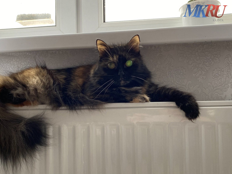 В частности, можно заставить свою управляющую компанию раскошелиться на оплату электроэнергии за тот период, когда пришлось греться обогревателями и даже компенсировать моральный вред