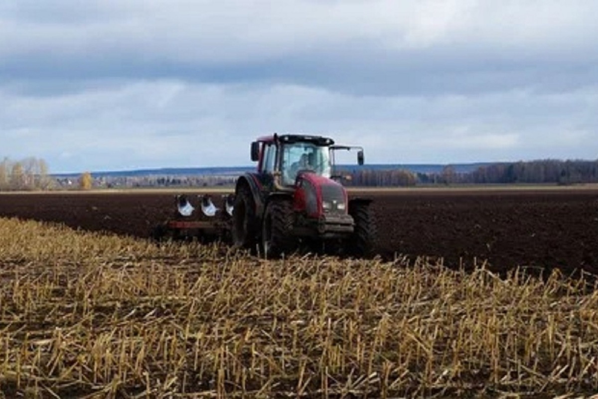 К завтрашнему дню в Калмыкии нужно завершить все дела в поле