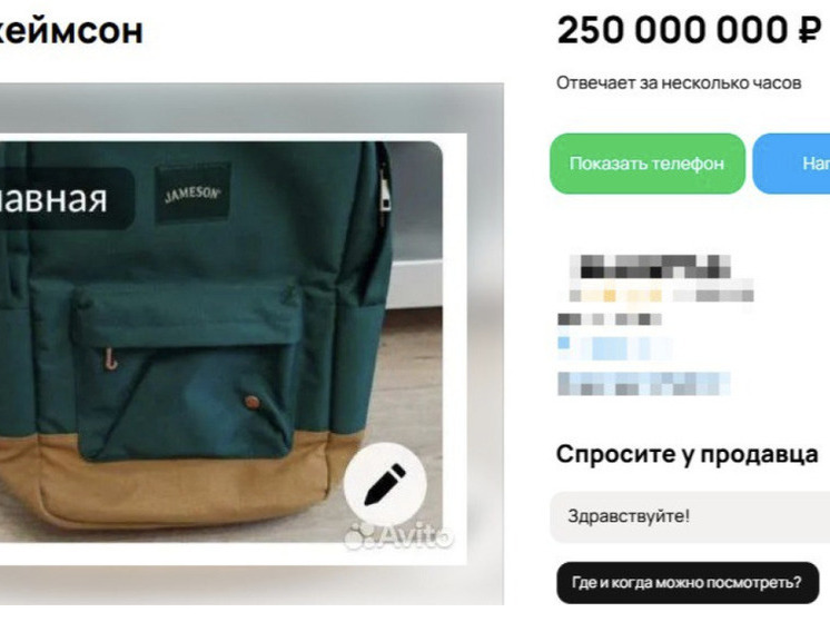 Самарец через Авито пытается продать дорожный рюкзак Jameson за 250 млн рублей