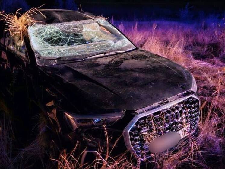В Самарской области 12 октября женщина на «ауди» вылетела с трассы в кювет
