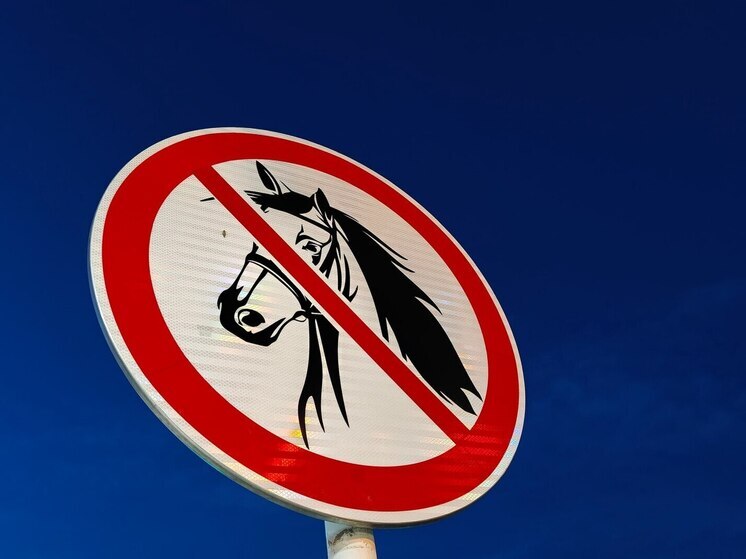 Задержали хозяина лошади, покалечившей пенсионерку в Ломоносовском районе