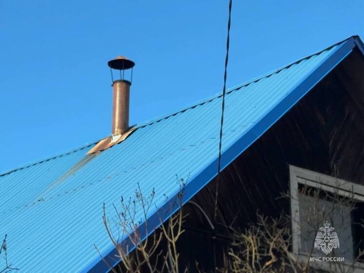 Псковичам рассказали, как растопить печь и сохранить безопасность в холодные осенние дни