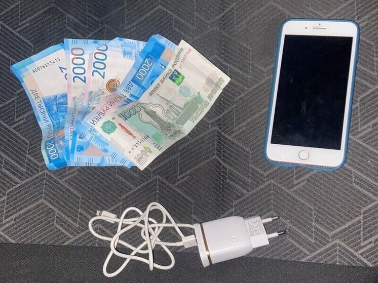 В Крыму задержали женщину, обокравшую клиента после предложения интимных услуг