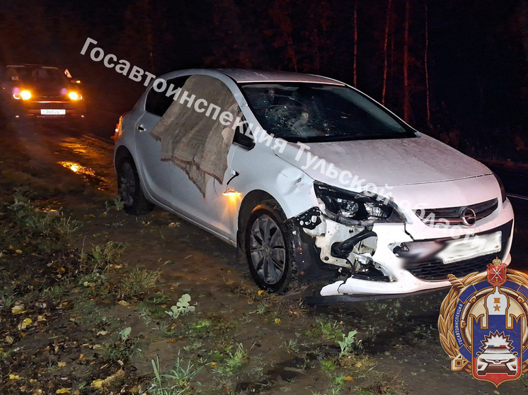 Автоледи на Opel ночью задавила пешехода на дороге в Щекинском районе