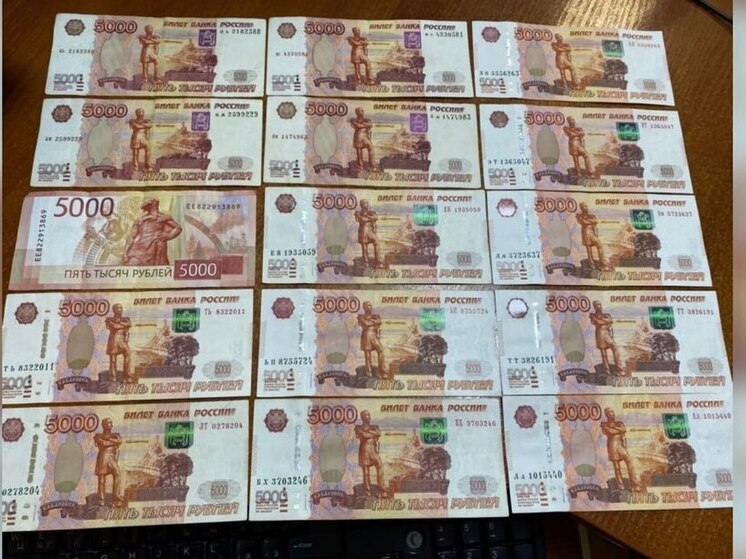 Жителя Чувашии осудили в Марий Эл за предложение взятки сотруднику ФСБ