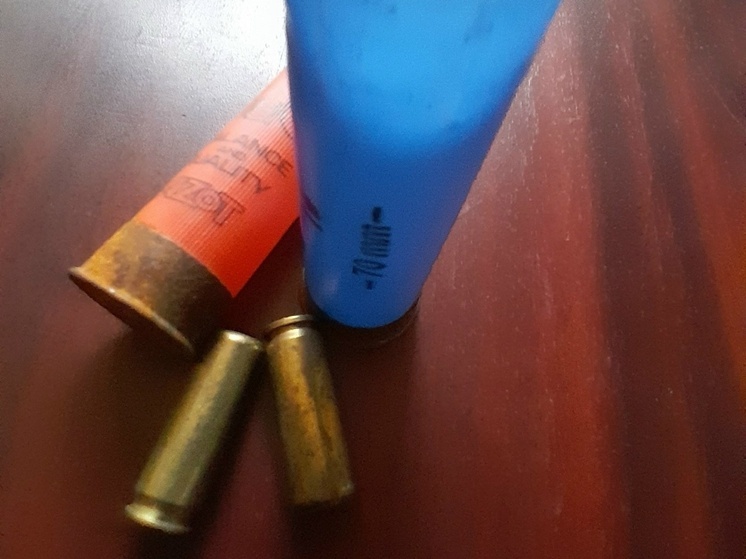 В Медыни пенсионера осудили по «оружейной» статье