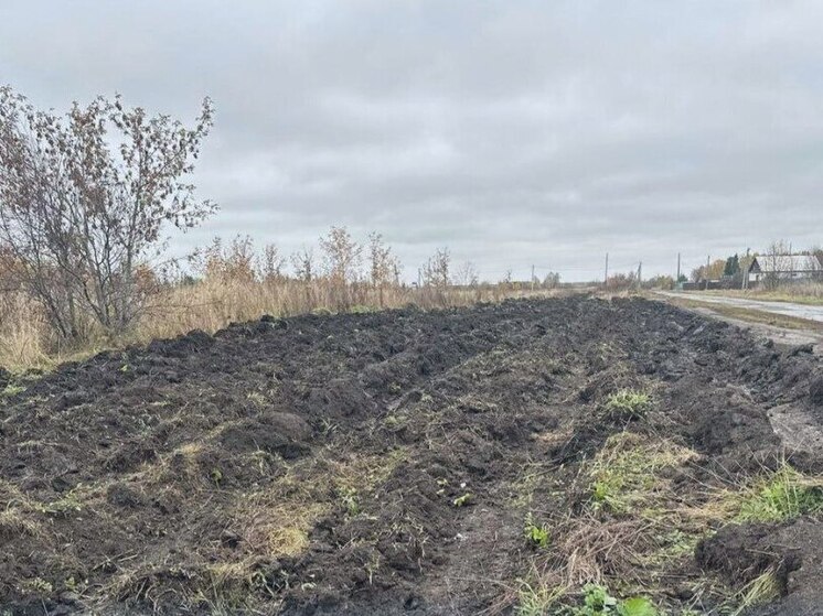 Противопожарная защита в Тобольском районе: создаём безопасные границы