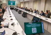 Глава Омской области Виталий Хоценко провёл первое заседание Совета по устойчивому развитию региона, где обсуждались вопросы реализации стратегической программы развития области
