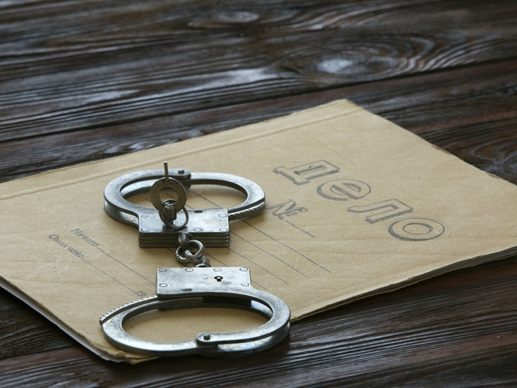 Юрист Трапаидзе: зарезавшему девушку и ее соседку подростку грозит до 10 лет