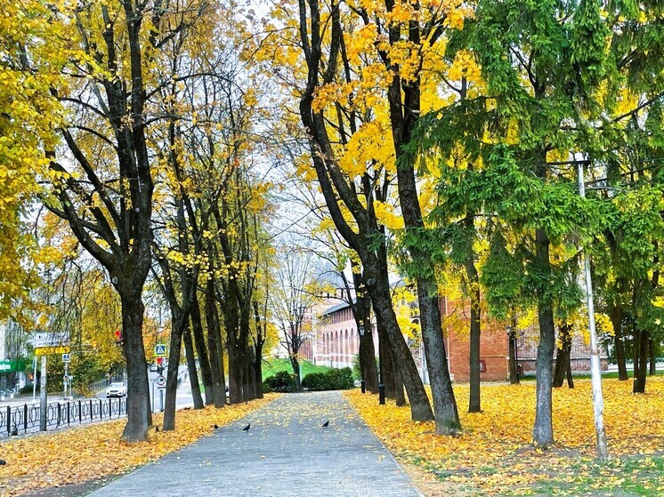 «Городская управляющая компания» проводит уборку Смоленска