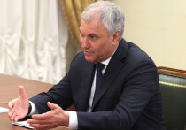 Просто прекрасно, что спикер Госдумы Вячеслав Володин с некоторой периодичностью отчитывается в своем телеграм-канале о ходе бескомпромиссной борьбы с нелегальной миграцией