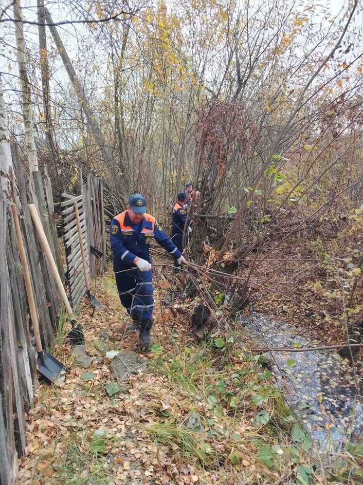 Пожарные помогли навести порядок возле дома ветерана Великой Отечественной войны