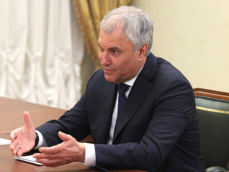 Просто прекрасно, что спикер Госдумы Вячеслав Володин с некоторой периодичностью отчитывается в своем телеграм-канале о ходе бескомпромиссной борьбы с нелегальной миграцией