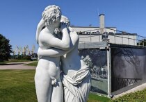 В Сети появилось мнение, что поцелуи способны заменить психолога, косметолога и занятия спортом. Сообщается, что во время этого процесса работает 24 мышцы, что создает лифтинг-эффект, а также укрепляется иммунитет и уходит стресс. Так ли это? На этот вопрос ответила в интервью «МК в Великом Новгороде» эксперт — психолог Ирина Севрюкова.