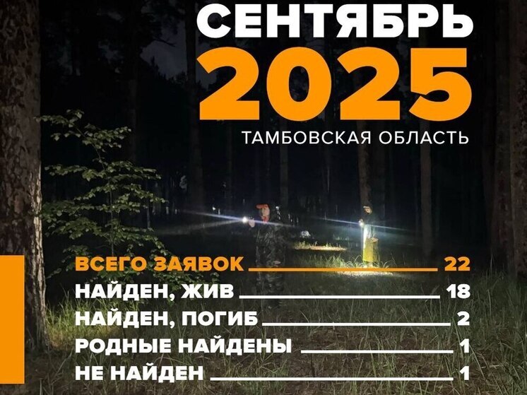 «ЛизаАлерт» спасает жизни: сентябрьская статистика поисков в Тамбовской области