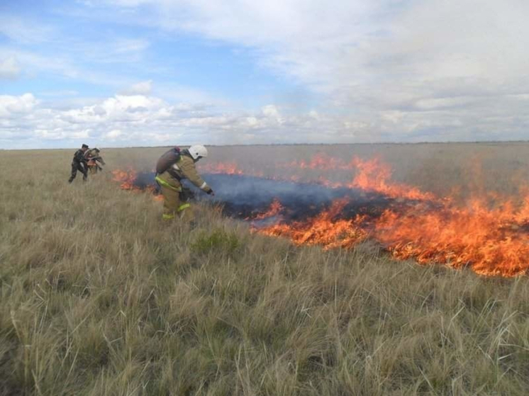 На Дону снизилось число ландшафтных пожаров