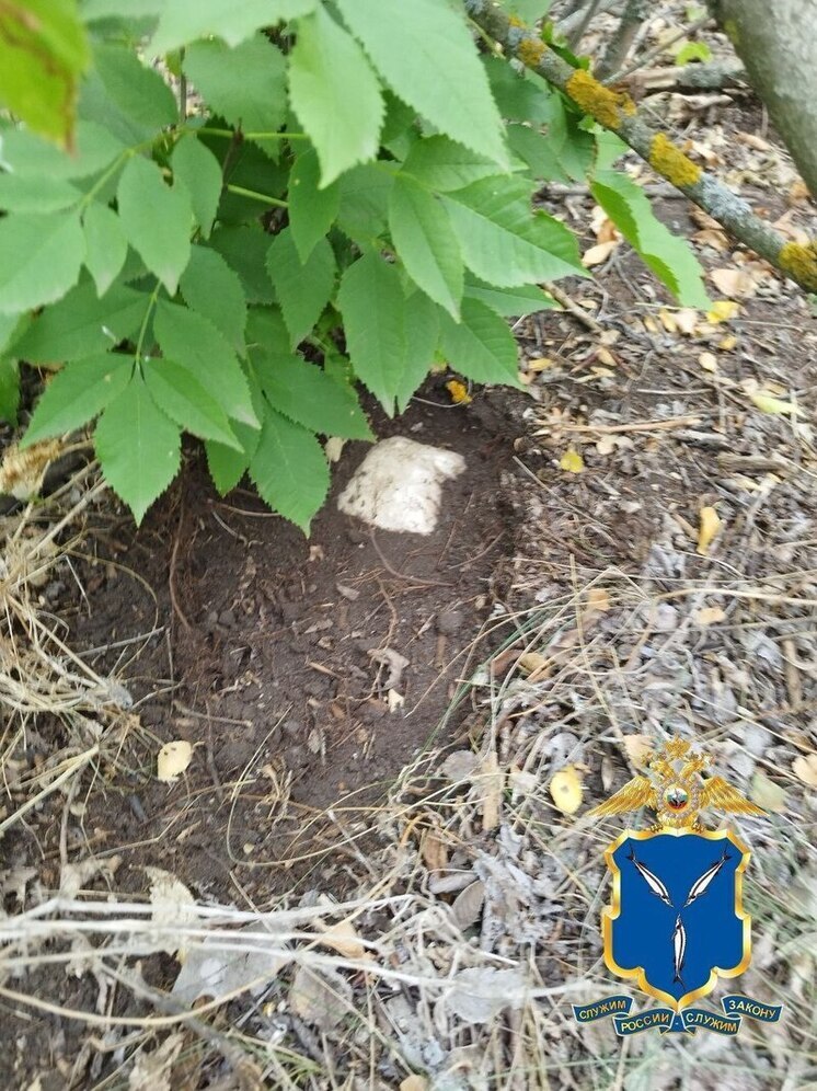 Под Саратовом пресекли деятельность наркокурьера из Томска