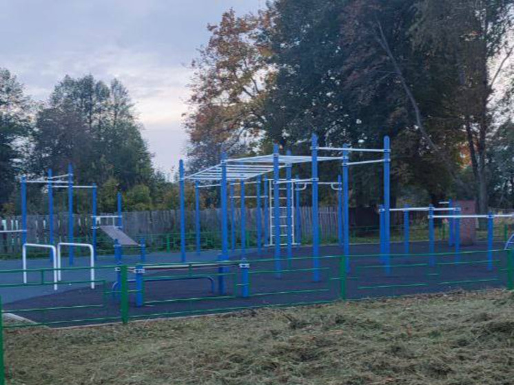 Детские и спортплощадки в думиничской Буде привели в надлежащий вид