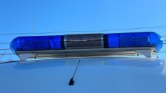 Вологжанин метнул в ноги убегающего пьяного водителя полено и помог правоохранителям задержать его