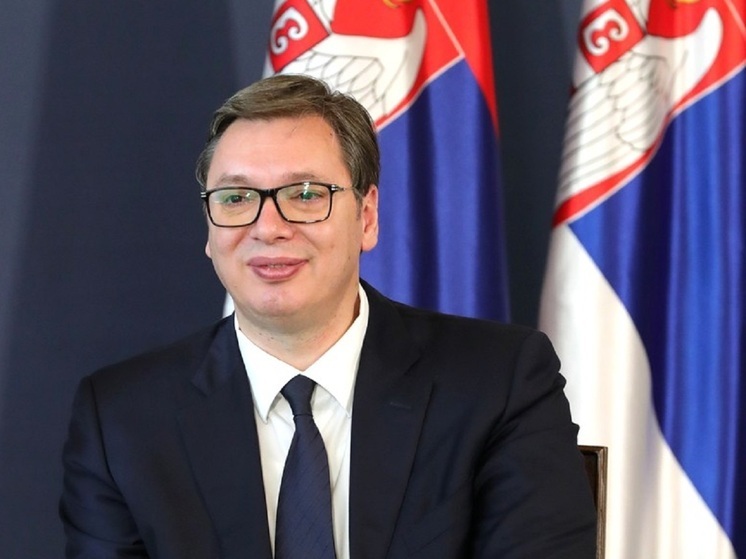 Вучич оценил переговоры с РФ по энергетике и NIS